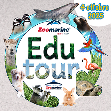 GIORNATA DEGLI INSEGNANTI